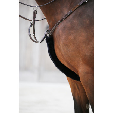 Fourreau de collier de chasse en mouton Kentucky Noir Fourreau de collier de chasse en mouton Kentucky Noir