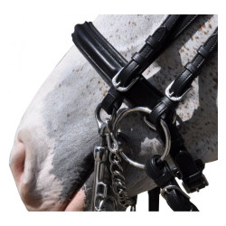 Bride Hagen Flags & Cup