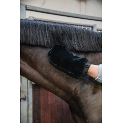 Gant de pansage mouton Kentucky Noir