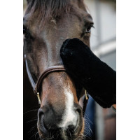 Gant de pansage mouton Kentucky Noir Gant de pansage mouton Kentucky Noir