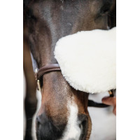 Gant de pansage mouton Kentucky Noir Gant de pansage mouton Kentucky Noir
