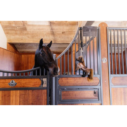 Relaxerend Speelgoed Tabellen Kentucky Relaxerend Speelgoed Tabellen Kentucky