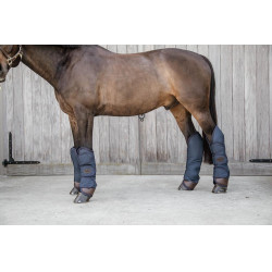 Transportbeschermers Kentucky