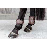 Protège-boulet jeunes chevaux Kentucky Noir