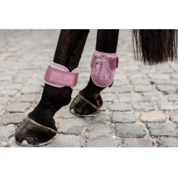 Protège-boulet jeunes chevaux Kentucky Vieux rose