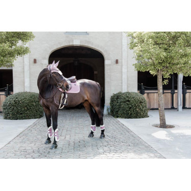 Protège-boulet jeunes chevaux mouton vegan Kentucky Vieux rose