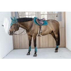 Beenbeschermers jonge paarden Velvet Kentucky Beenbeschermers jonge paarden Velvet Kentucky