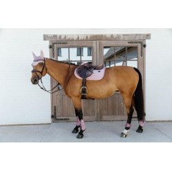 Protège-boulet jeunes chevaux Velvet Kentucky Vieux rose Protège-boulet jeunes chevaux Velvet Kentucky Vieux rose