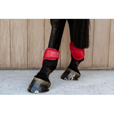 Beenbeschermers jonge paarden Velvet Kentucky Beenbeschermers jonge paarden Velvet Kentucky