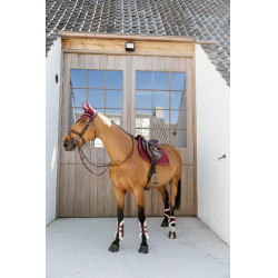 Protège-boulet jeunes chevaux Velvet mouton vegan Kentucky Bordeaux