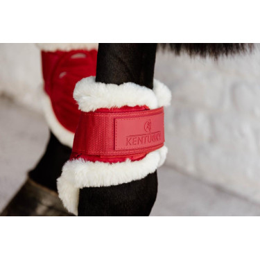 Protège-boulet jeunes chevaux Velvet mouton vegan Kentucky Rouge