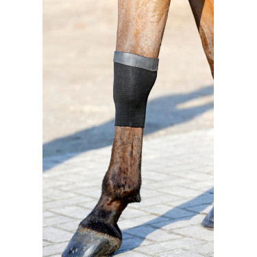Sok Tendon Grip Gel Kentucky Sok Tendon Grip Gel Kentucky