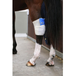 Chaussette Tendon Grip Kentucky Blanc Chaussette Tendon Grip Kentucky Blanc
