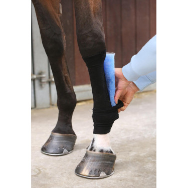 Chaussette Tendon Grip Kentucky Noir Chaussette Tendon Grip Kentucky Noir