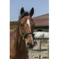 Halster Norton Zari Marineblauw