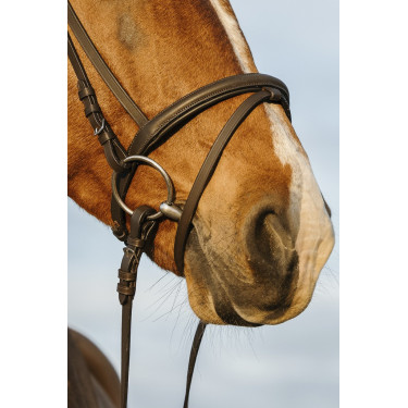 Bridon Riding World muserolle combinée double Bridon Riding World muserolle combinée double