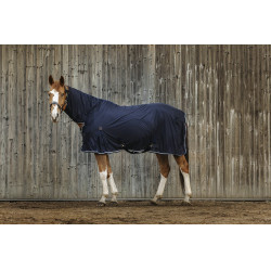 Shirt Equithème Micro mesh combo Shirt Equithème Micro mesh combo