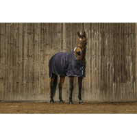 Overhemd Equithème Vague Marineblauw