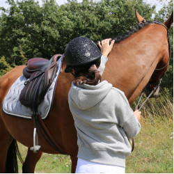 Sweatshirt Pénélope Chilly Grijs