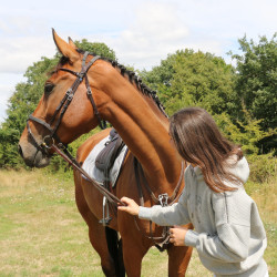 Sweat-shirt Pénélope Chilly Gris Sweat-shirt Pénélope Chilly Gris