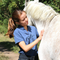 Polo Iliana Pénélope Bleu / gris