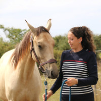 Pull Pénélope x Saint James Maelle Marine / écru / rouge Motifs