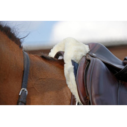 Amortisseur mouton Absorb Kentucky Marine Bleu marine