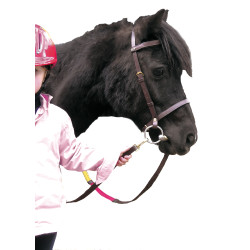 Bridon Educatif Canter Shetland