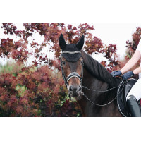 Bonnet Wellington Sprankelend Kentucky Zwart