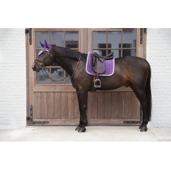 Bonnet Wellington Fluweel Contrast Kentucky Koninklijk mauve Violet