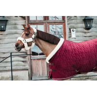 Presentatiehoes Velvet Kentucky Marine Marineblauw Presentatiehoes Velvet Kentucky Marine Marineblauw