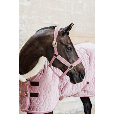 Couverture de présentation Velvet Kentucky Vieux rose