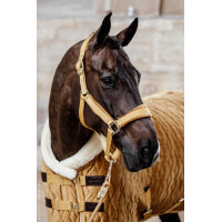 Presentatiehoes Velvet Kentucky Mosterdkleurig Geel Presentatiehoes Velvet Kentucky Mosterdkleurig Geel