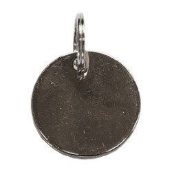 Kentucky Medaille Zilver