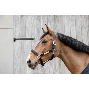 Licol Anatomique Nylon Kentucky Licol Anatomique Nylon Kentucky