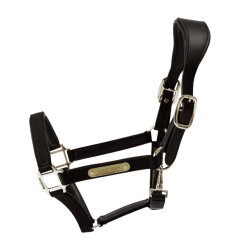 Anatomisch Halster Nylon Kentucky Zwart