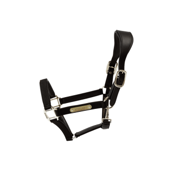 Anatomisch Halster Nylon Kentucky Anatomisch Halster Nylon Kentucky
