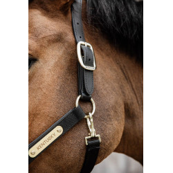 Anatomisch Halster Nylon Kentucky Zwart Anatomisch Halster Nylon Kentucky Zwart