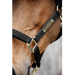 Licol Anatomique Nylon Kentucky Noir Licol Anatomique Nylon Kentucky Noir