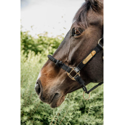 Controlehalster Kentucky Controlehalster Kentucky