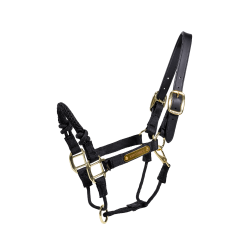 Controlehalster Kentucky Controlehalster Kentucky
