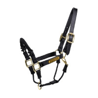 Licol de controle Kentucky Noir