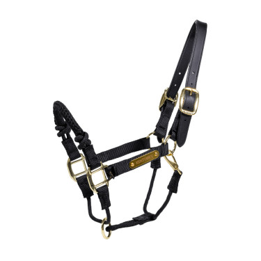 Licol de controle Kentucky Noir