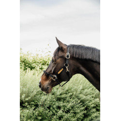 Controlehalster Kentucky Controlehalster Kentucky