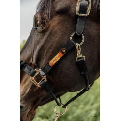 Controlehalster Kentucky Controlehalster Kentucky