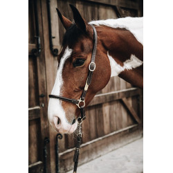 Kentucky lederen halster van Pansage Kentucky lederen halster van Pansage