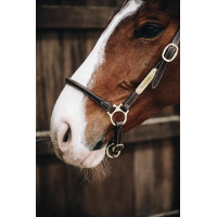 Licol de Pansage en cuir Kentucky Marron Licol de Pansage en cuir Kentucky Marron