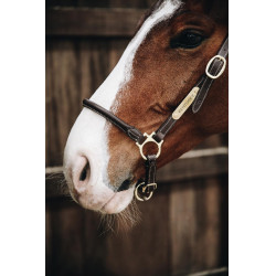 Licol de Pansage en cuir Kentucky Marron Licol de Pansage en cuir Kentucky Marron