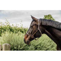 Flexibele Halster Kentucky Bruin