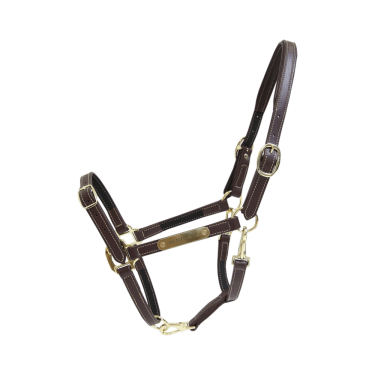 Licol Flexible Kentucky Licol Flexible Kentucky